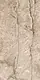 Elegant 5001 Porcelain Coffee, First Choice, 60 × 120 cm, Glossy - Image 2