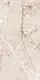 Elegant Porcelain 5001 Beige, First Choice, 60 × 120 cm, Glossy - Image 1