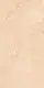 Porcelux P 3027 Beige Porcelain, First Choice, 60 × 120 cm, Glossy - Image 2