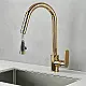 BGI Berlin 3192G Pull-Out Kitchen Mixer, Round Spout 39 cm Height, Glossy Gold - Image 1