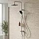 Teska Joy DR 10321801B 2 × 1 Shower Column, Chrome with 22 cm Black Square Shower Head and Thermal Hose - Image 3