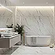 Regency 600107 White Floor and Wall Porcelain, First Choice, 60 × 120 cm, Glossy - Image 1