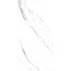 Regency 600107 White Floor and Wall Porcelain, First Choice, 60 × 120 cm, Glossy - Image 3