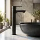 Global Standard Sky GSL 1074 ND BP Tall Basin Mixer, Black, Height 33 cm