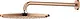 Grohe DAO 26066 Shower Head, Rose Gold - Image 1