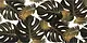 Venous Angelo 42 Gold Wall Ceramic, 30 × 60 cm, Second Choice - Image 5