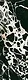 Art Calongo Black Laser-Cut Wall & Floor Ceramic, Second Choice, Matte, 50 × 150 cm A CB - Image 2