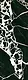 Art Calongo Black Laser-Cut Wall & Floor Ceramic, Second Choice, Matte, 50 × 150 cm A CB - Image 3