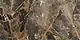 Venous Angelo 802 Mix Kitchen A Wall Ceramic, First Choice, Glossy, 30 × 60 cm V A802MA - Image 1