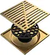 Gawad GX 0011000 PVG Stainless Steel Drain Cover with Strainer and Non-Return Valve, 10 × 10 cm, Gold - Image 1
