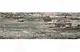 Cleopatra Tropical Dark Wall Ceramic 25 × 75 cm, First Choice - Image 3