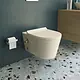Sanipure Titan 25424975 Wall-Hung Toilet with Internal Bidet Spray, Standard Toilet Seat & Cover and Fixing Set, 40 × 54 cm, Pergamon - Image 1