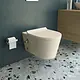 Sanipure Titan 25424975 Wall-Hung Toilet with Hydrojet Internal Bidet Spray, Standard Toilet Seat & Cover and Fixing Set, 40 × 54 cm — Pergamon - Image 1