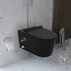 Sanipure Titan 25424975 Wall-Hung Toilet with Hydrojet Internal Bidet Spray, Plastic Toilet Seat & Cover and Fixing Set, 40 × 54 cm, Black - Image 1