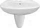 Duravit Golf Basin with Half Pedestal, White, 55 cm - Image 2