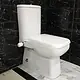 Mica Vit Mical Back-to-Wall Toilet with Plastic Toilet Seat & Cover, Cistern, Mechanism, Internal Bidet Spray and Fixing Set, Pergamon - Image 1