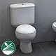 Ideal Standard New Capri Toilet with Soft-Close Toilet Seat & Cover, Pergamon - Image 1