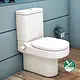 Ideal Standard Playa Back-to-Wall Close-Coupled Toilet S/P with Soft-Close Toilet Seat & Cover, Cistern, Internal Bidet Spray and Fixing Set, Pergamon - Image 1