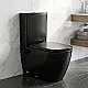 Sanipure Magnus Back-to-Wall Toilet S/P Matte Black with Hydrojet Bidet Spray, Soft-Close Toilet Seat & Cover, Cistern with Mechanism and Fixing Set - Image 1