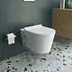 Sanipure Titan 25424975 Wall-Hung Toilet with Plastic Toilet Seat & Cover, Internal Bidet, and Fixing Set, White - Image 1