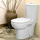 Duravit Architec S/P Toilet, White, with Seat & Cover, Cistern with Mechanism, Internal Bidet Spray and Fixing Set - Image 1