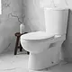 Duravit Architec S/P Toilet, Pergamon, with Seat & Cover, Cistern with Mechanism, Internal Bidet Spray and Fixing Set - Image 7