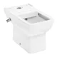 Hansgrohe Greek Ted P-Trap Toilet with Bidet Spray and Waste, White