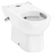 Glade Lake Toilet with Bidet Spray, White