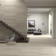 بورسلين اسباني سيلفر تيوب مط Silver Taupe Matt ST 12060 فرز اول 60 × 120 سم - صورة 2