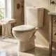 Duravit Golf Toilet, Pergamon, with Seat & Cover, Cistern with Mechanism & Fixing Kit, without Internal Bidet Spray - Image 2