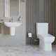 طقم حمام هانزجروهي جريك تايد Q White كومبنيشن بالسيديلي ذاتى الغلق وحوض 55 cm With Wall-Hung Pedestal - Image 1