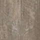 شرائح ارضيات SPC كامستون ماجيستيك فوريست ستورم ود 2022 Size 18.2 × 122 سم سمك 6،. مم شامل التركيب - Image 3